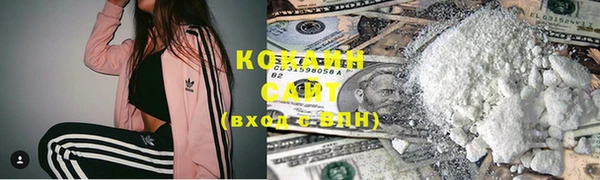 индика Иннополис