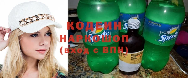 индика Иннополис