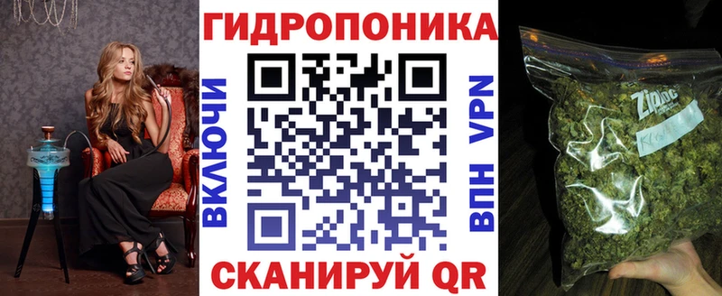 Купить  Гай  Конопля MAZAR 